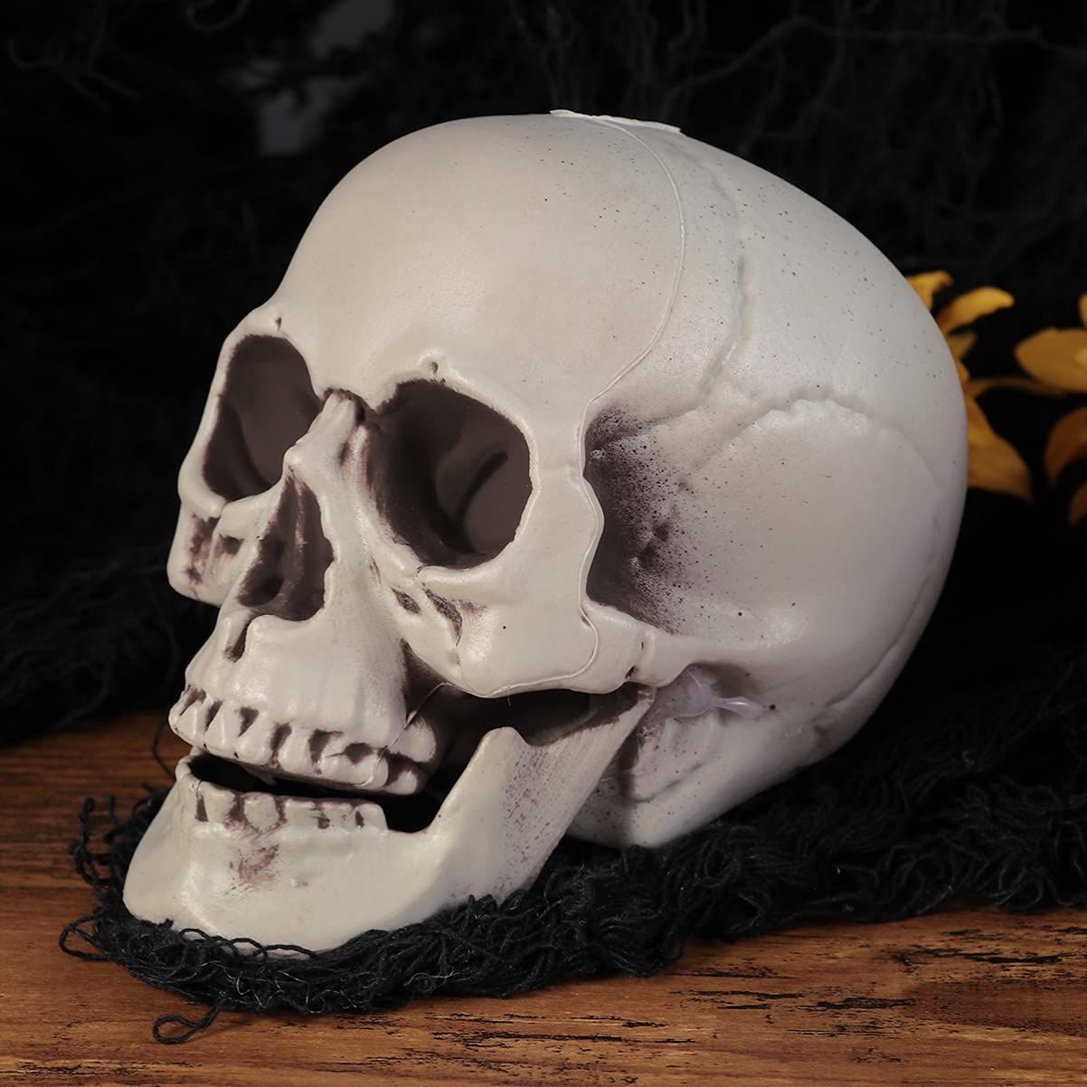 Amazon.co.jp: 頭骸骨 模型 ハロウィン 飾りお化け屋敷道具 スカル